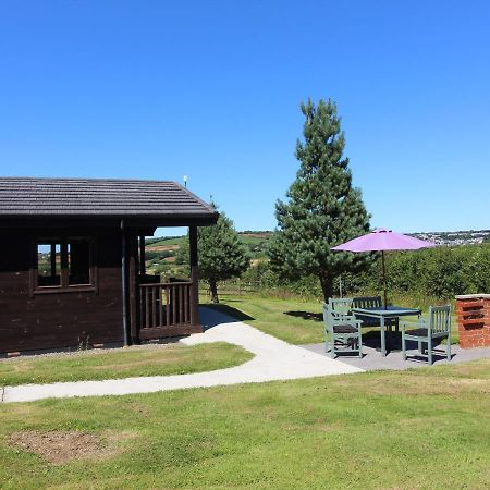 בודמין Willow Lodge מראה חיצוני תמונה