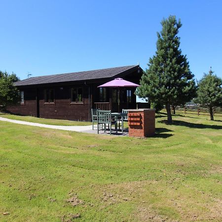 בודמין Willow Lodge מראה חיצוני תמונה