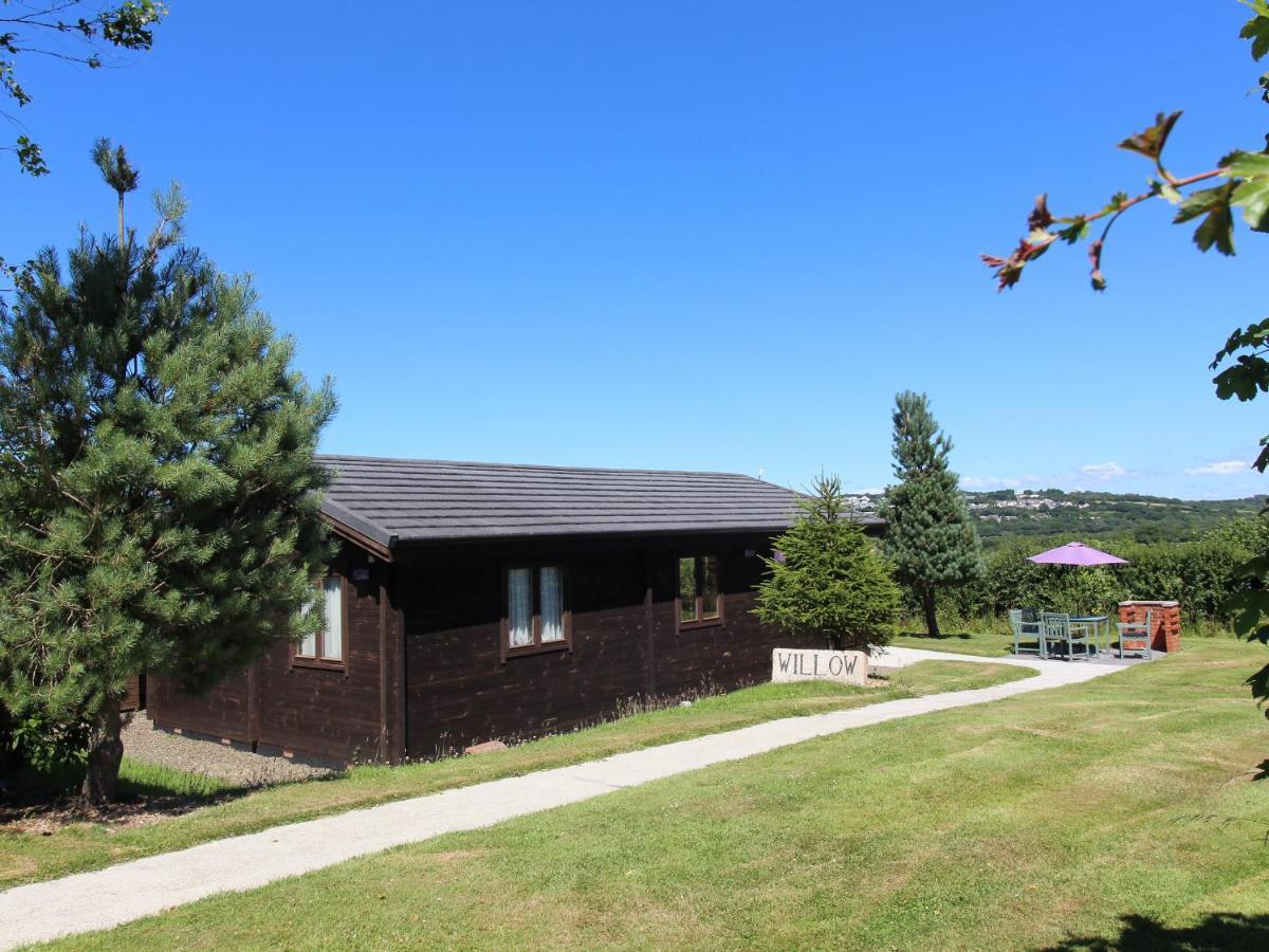 בודמין Willow Lodge מראה חיצוני תמונה